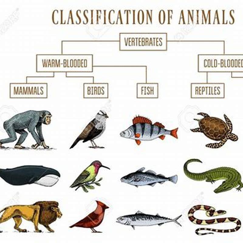 What are the differences between birds and reptiles? - DIY Seattle