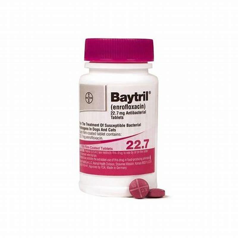 What bacteria Does Baytril Treat?