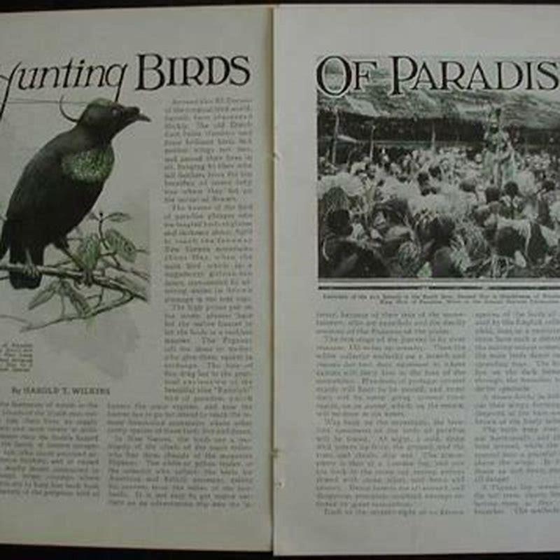 What birds are cannibals?