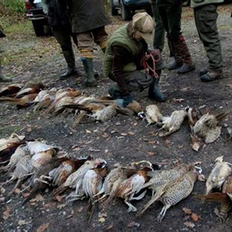 What birds Can I hunt in Florida?