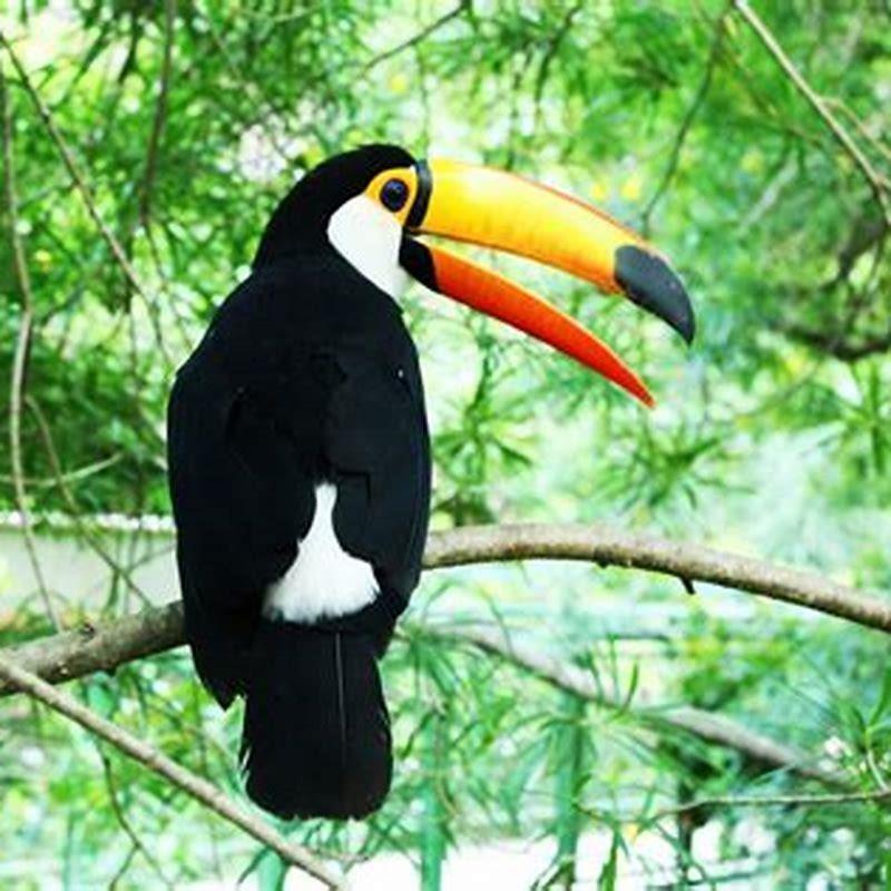 What birds live in the jungle?