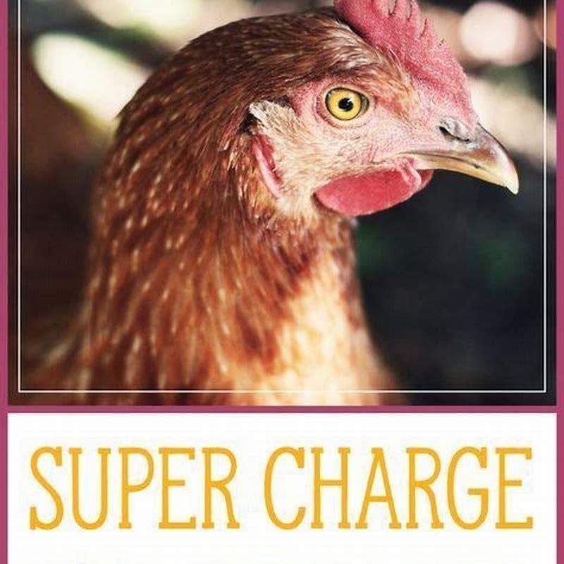 What can you feed prairie chickens?