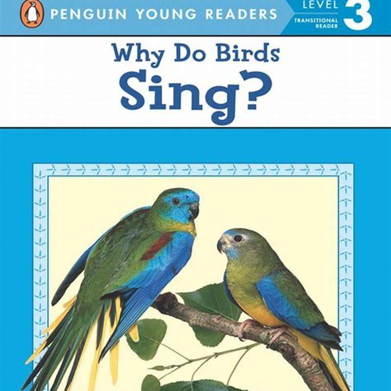 what-do-birds-say-when-they-sing-diy-seattle