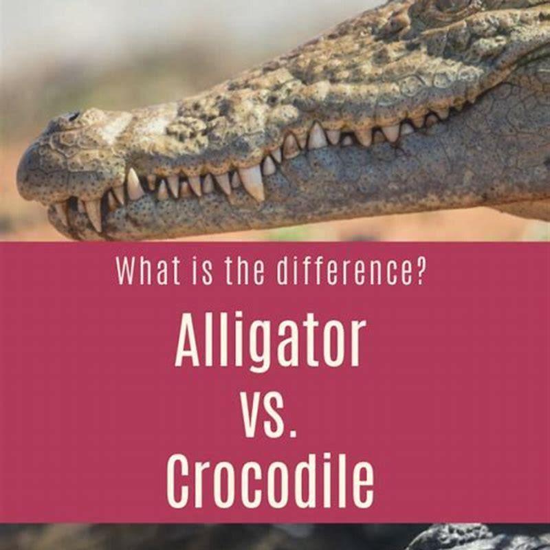 What do crocodile and birds have in common?