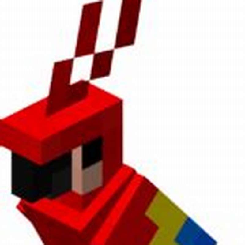 what-do-minecraft-parrots-eat-diy-seattle