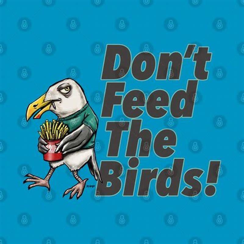 What do teal feed on?