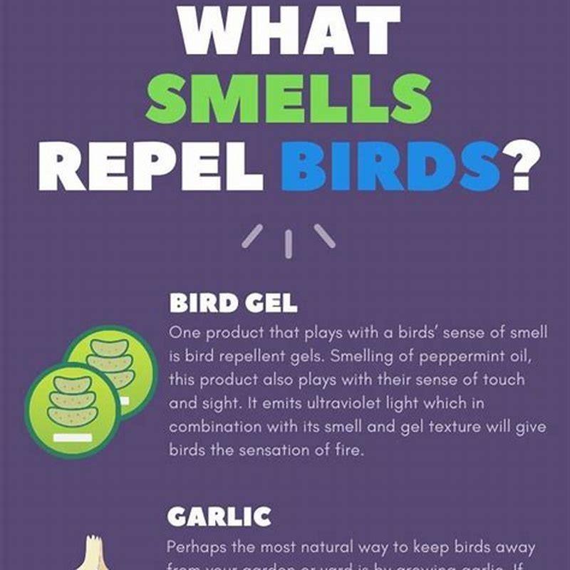 What essential oils keep birds away?