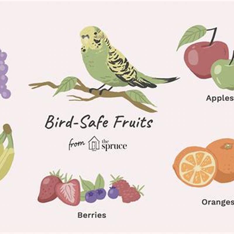 what-fruit-and-vegetables-can-budgies-eat-diy-seattle