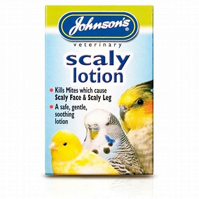 What household item kills birds?