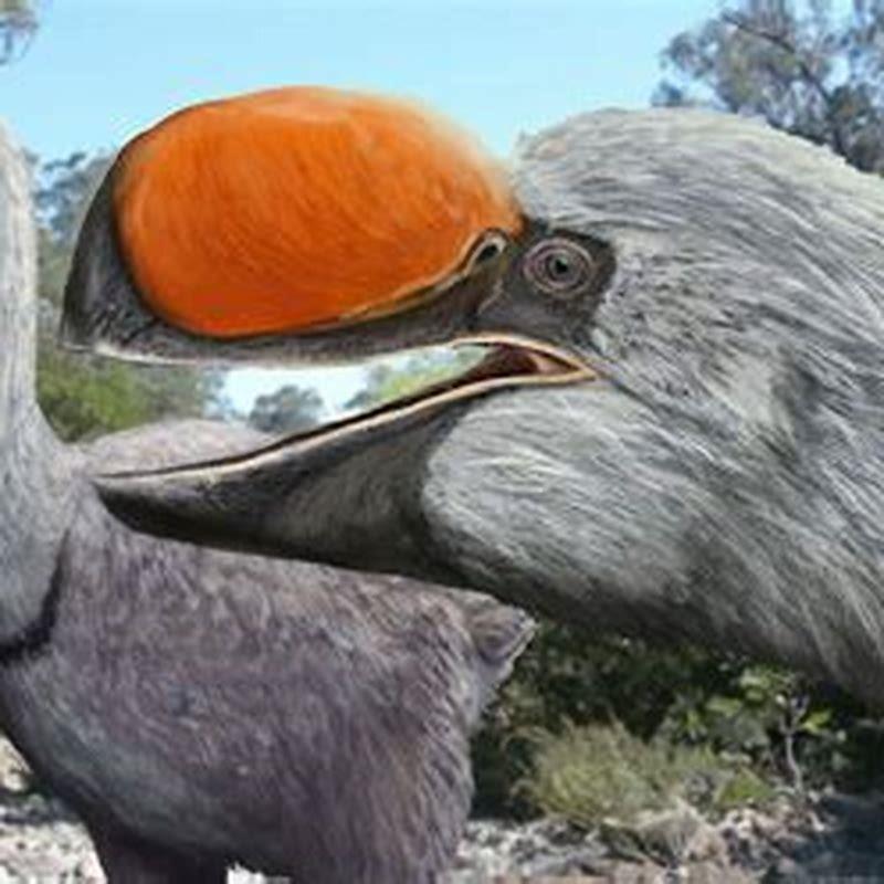 What is big birds friends name?