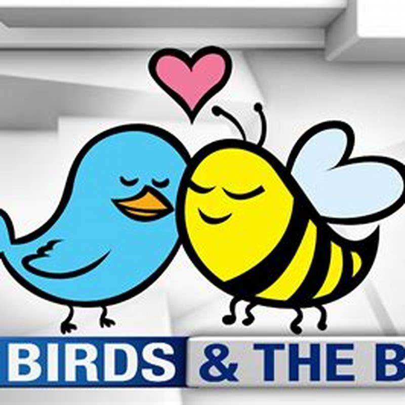 What Is The Bees And The Birds Story? - DIY Seattle