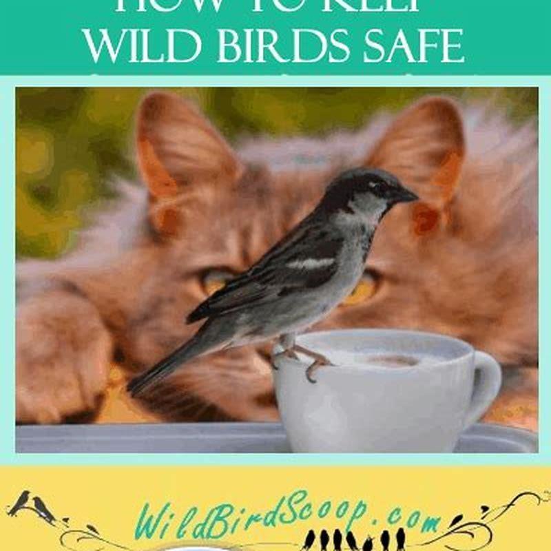 What is the leading cause of bird deaths?