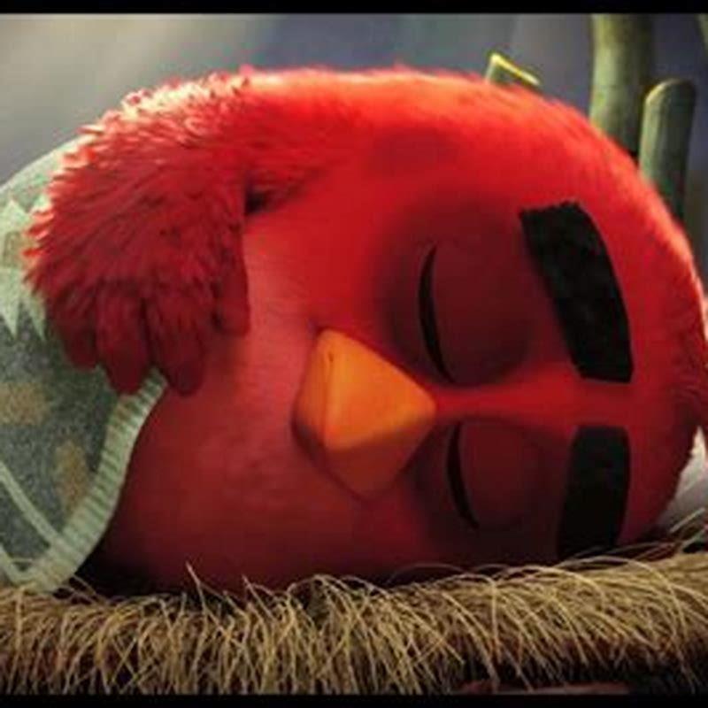 What is the point of the Birds movie?
