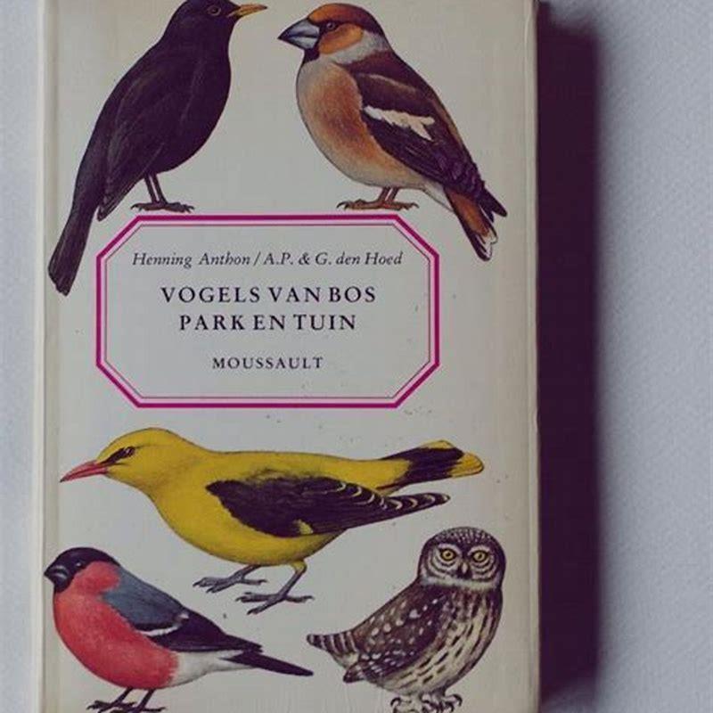 What is the reason for this bird to dance?
