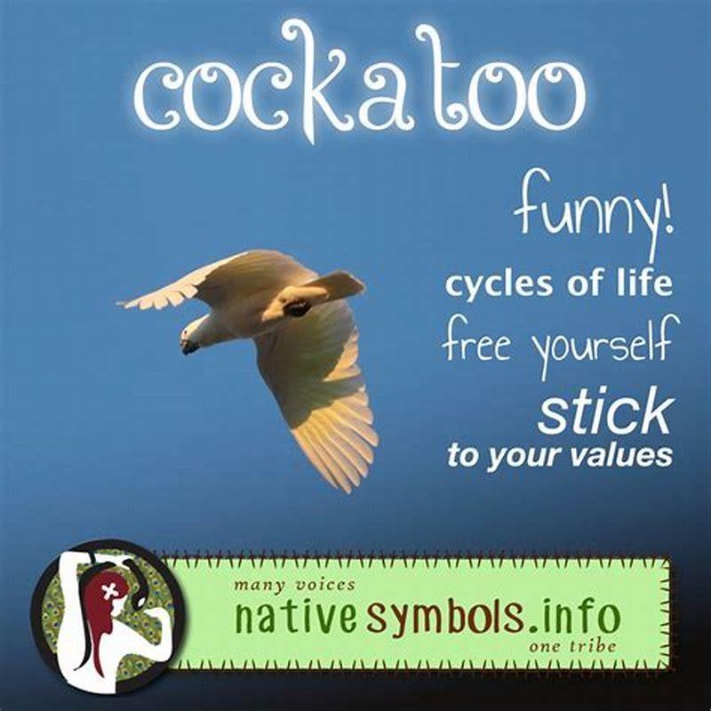 what-is-the-spiritual-meaning-of-black-cockatoos-diy-seattle