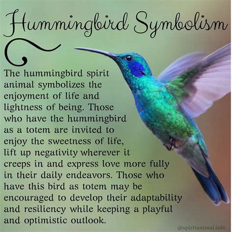 what-is-the-symbolic-meaning-of-a-hummingbird-diy-seattle