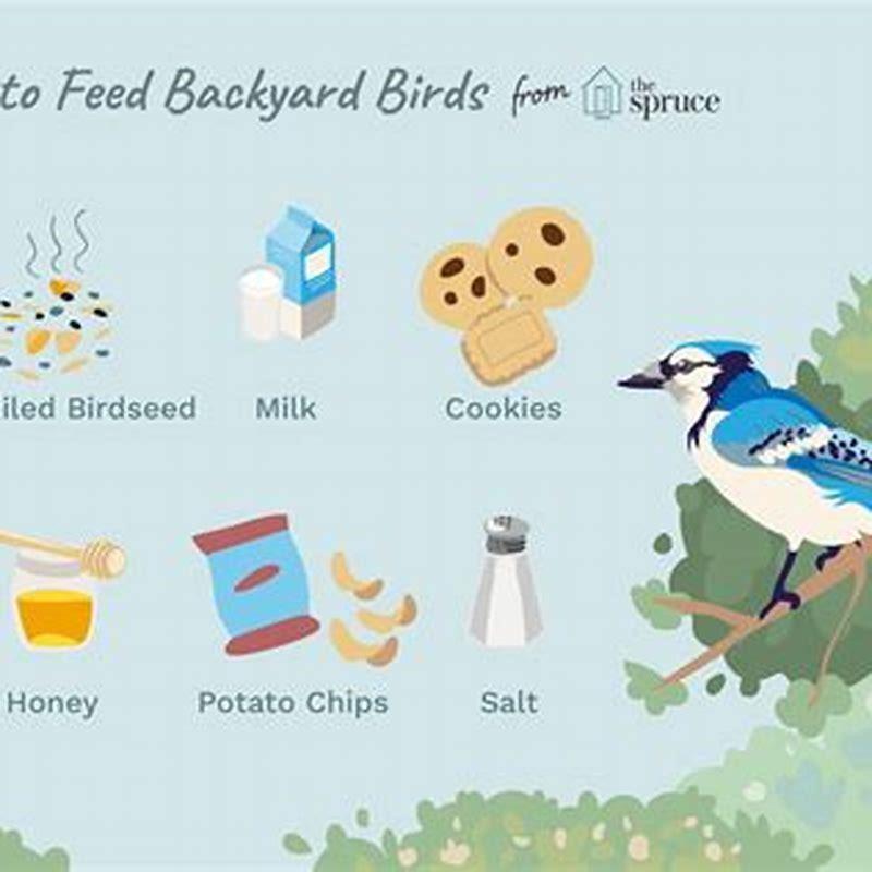 what-kind-of-milk-do-you-feed-baby-birds-diy-seattle