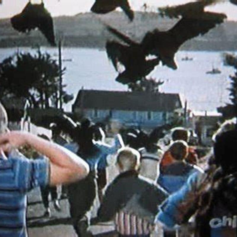 What movie does for the birds play before?