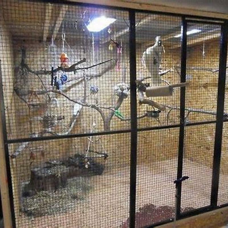 what-paint-is-safe-to-use-on-a-bird-cage-diy-seattle