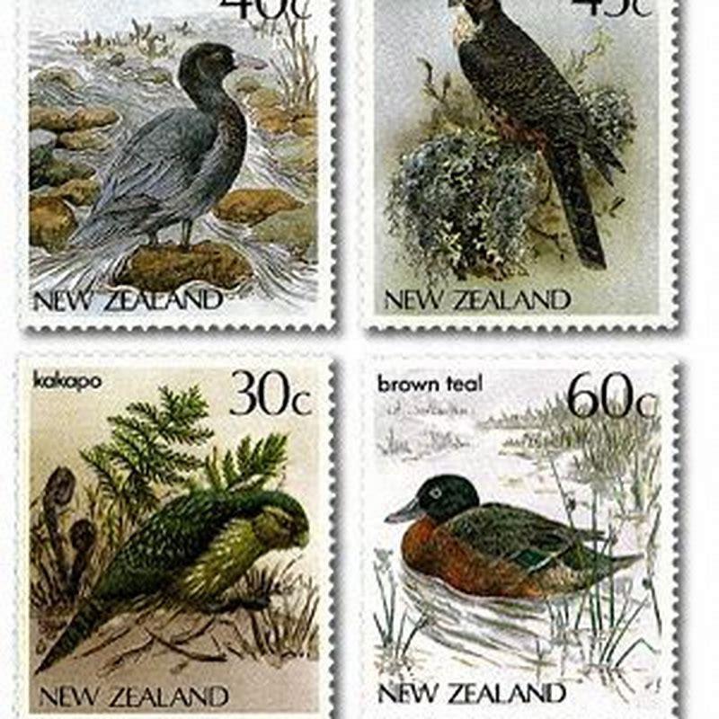 What percentage of birds are endangered?