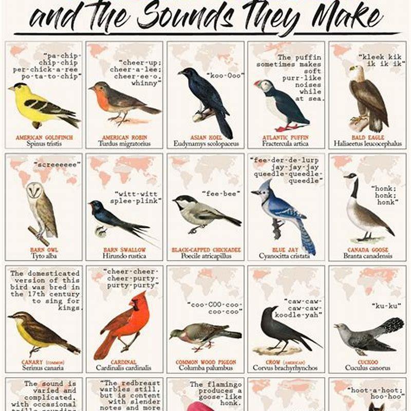 What sound does a Dickcissel bird make?