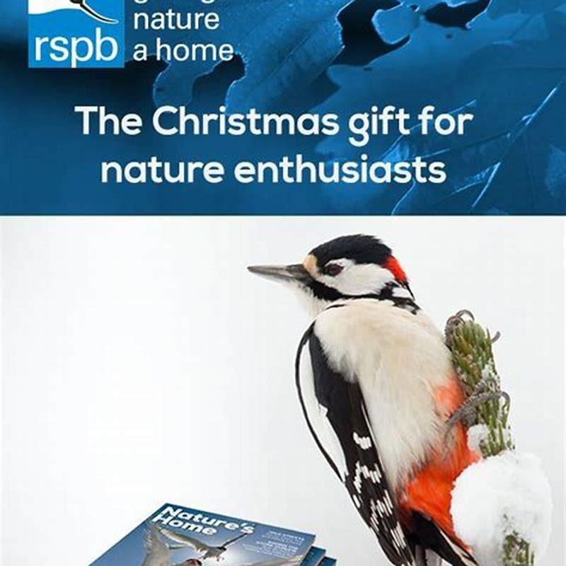 What to gift someone who loves birds?