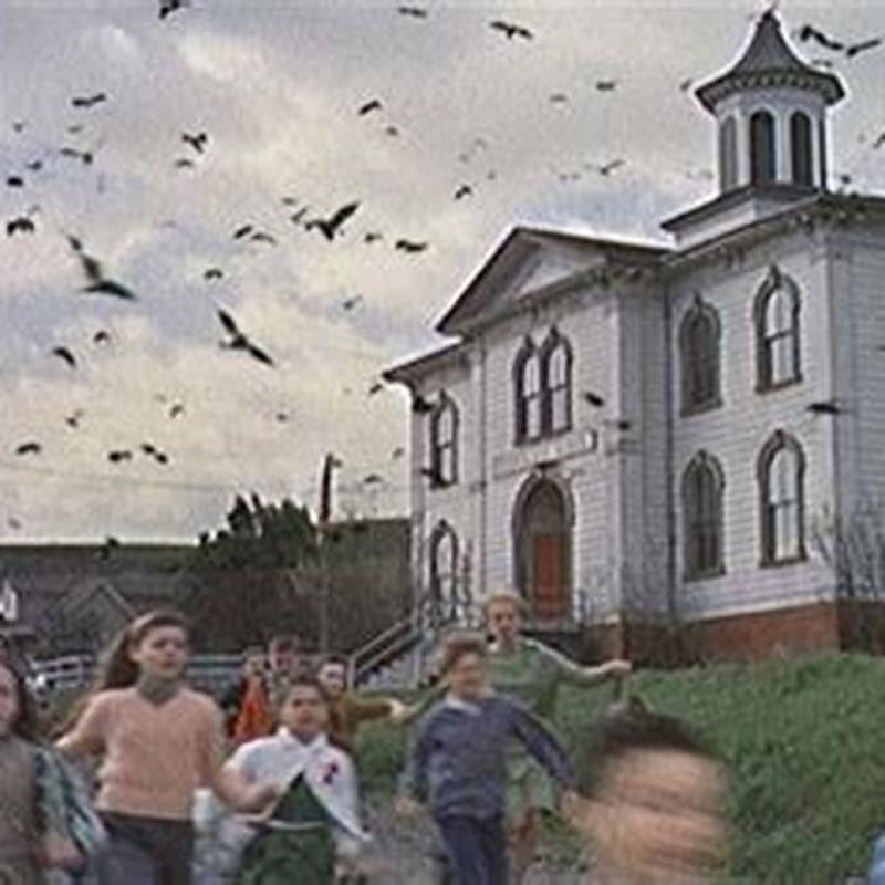 What town was The Birds filmed in?