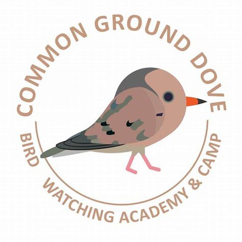 Where do Ground-Doves live?