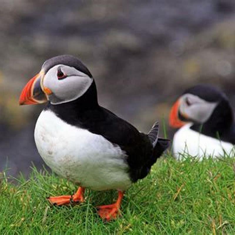 Where is the best place to watch birds?