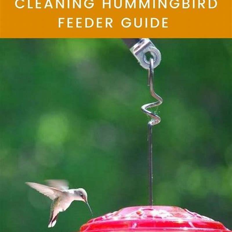 Where should I put my bird feeder in my backyard?