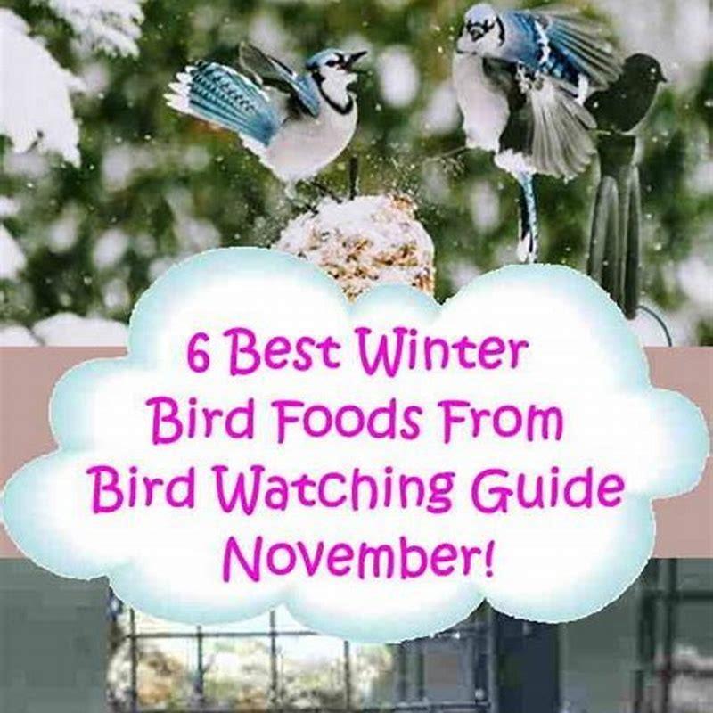 Which bird can survive without food?