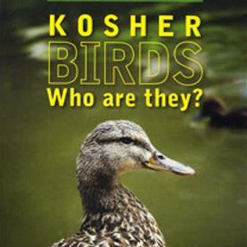 which-birds-are-kosher-diy-seattle