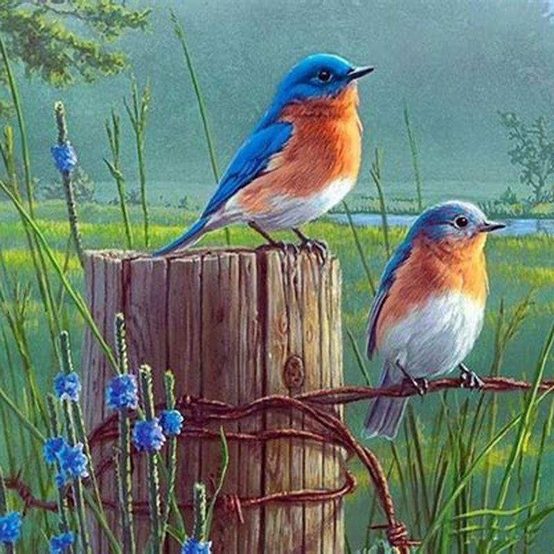 Who was the best bird painter?
