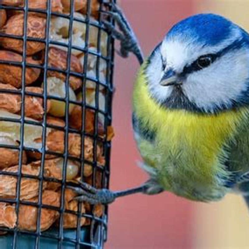 Why Are Birds Noisy At Dusk DIY Seattle constitution-the-constitution-is-our-country-s-most-sacred-document
