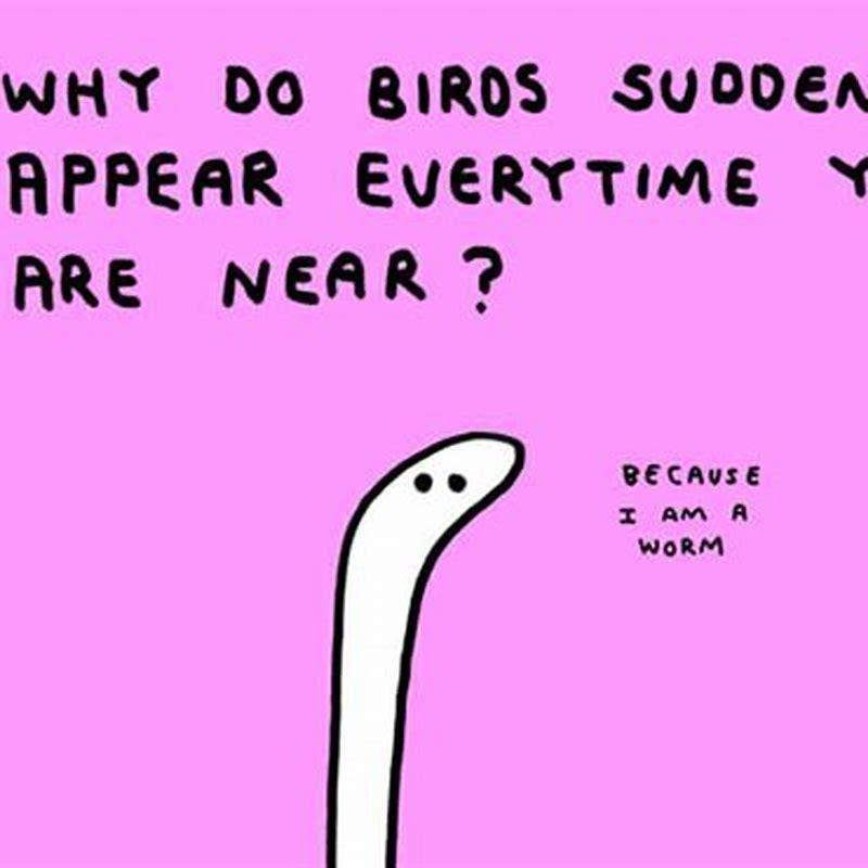 why-do-birds-suddenly-appear-answer-diy-seattle