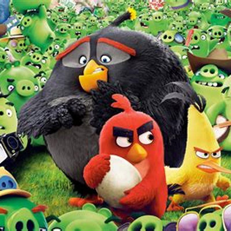 why-is-the-angry-birds-movie-rated-pg-diy-seattle