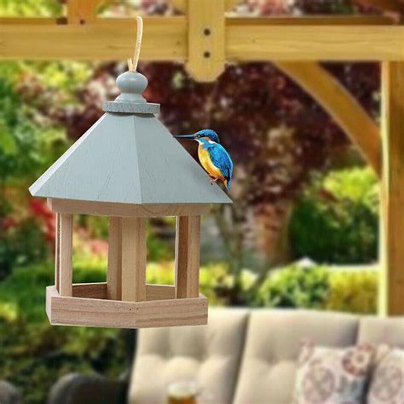 Will a bird feed another bird?