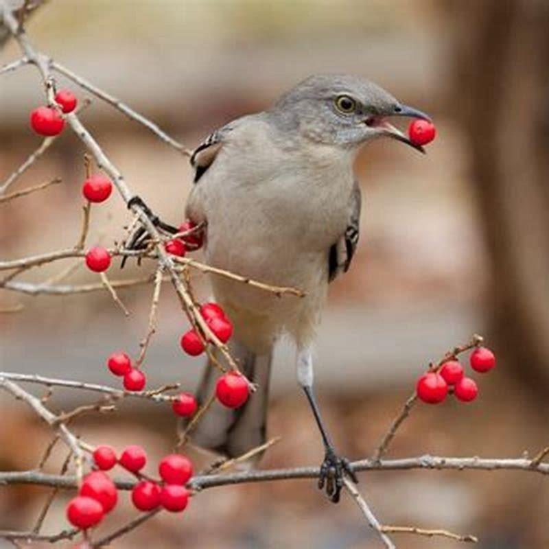 What Plants Are Toxic For Birds at Angelina Otto blog