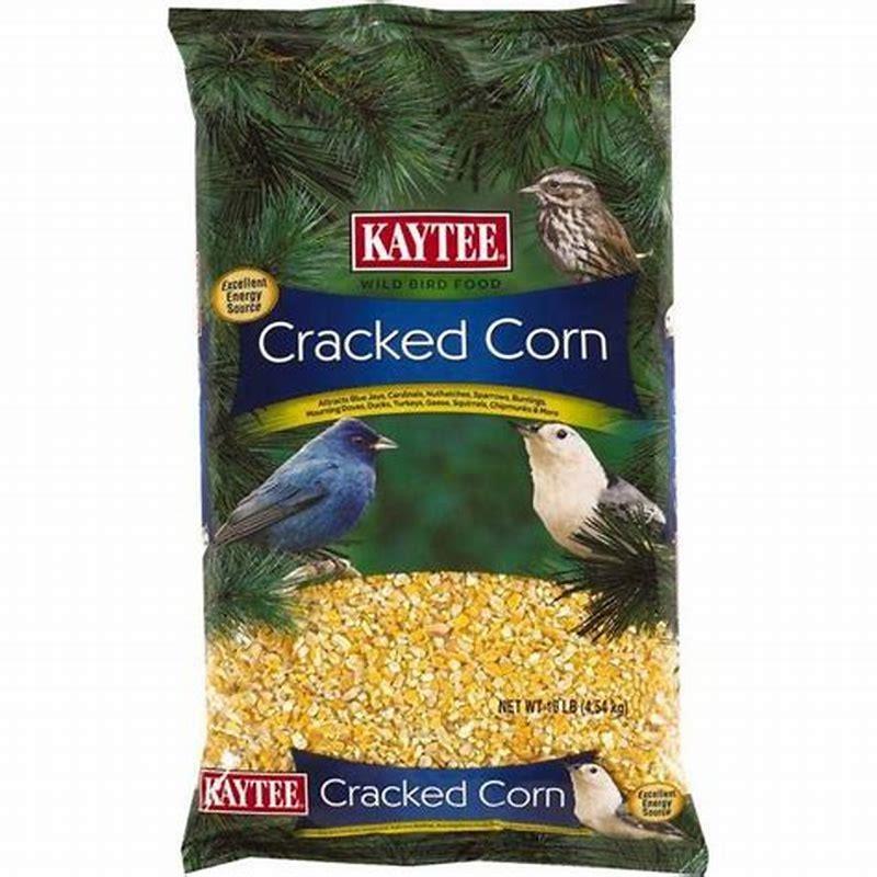 Can you feed cracked corn to wild birds?