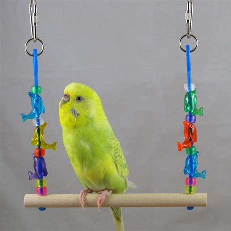 Can you make homemade bird toys?