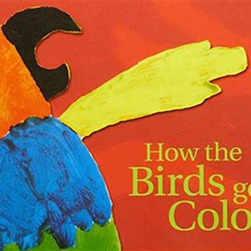 Do Birds Dislike Certain Colours DIY Seattle do-birds-dislike-certain-colours-diy-seattle