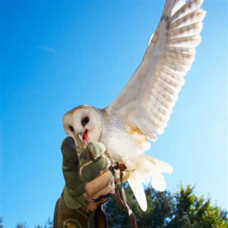 How do birds warn each other of danger?