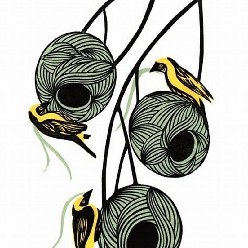 How do you draw a weaver bird nest?