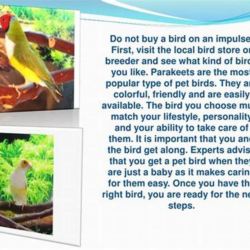 How do you know if birds are getting along?