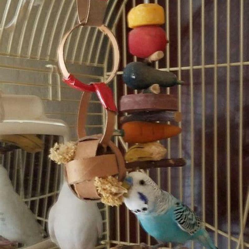 How do you make a foraging bird toy?