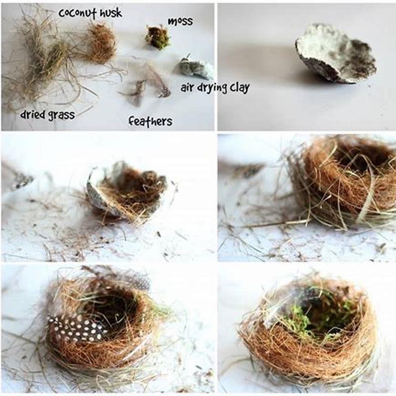 How do you make a real bird’s nest?