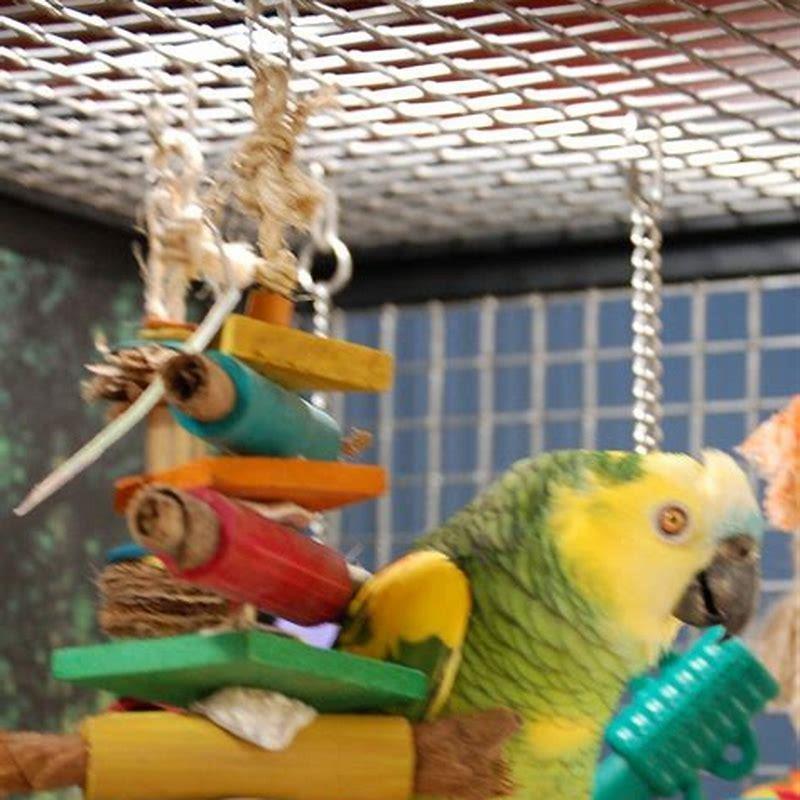 How do you make parrot toys?