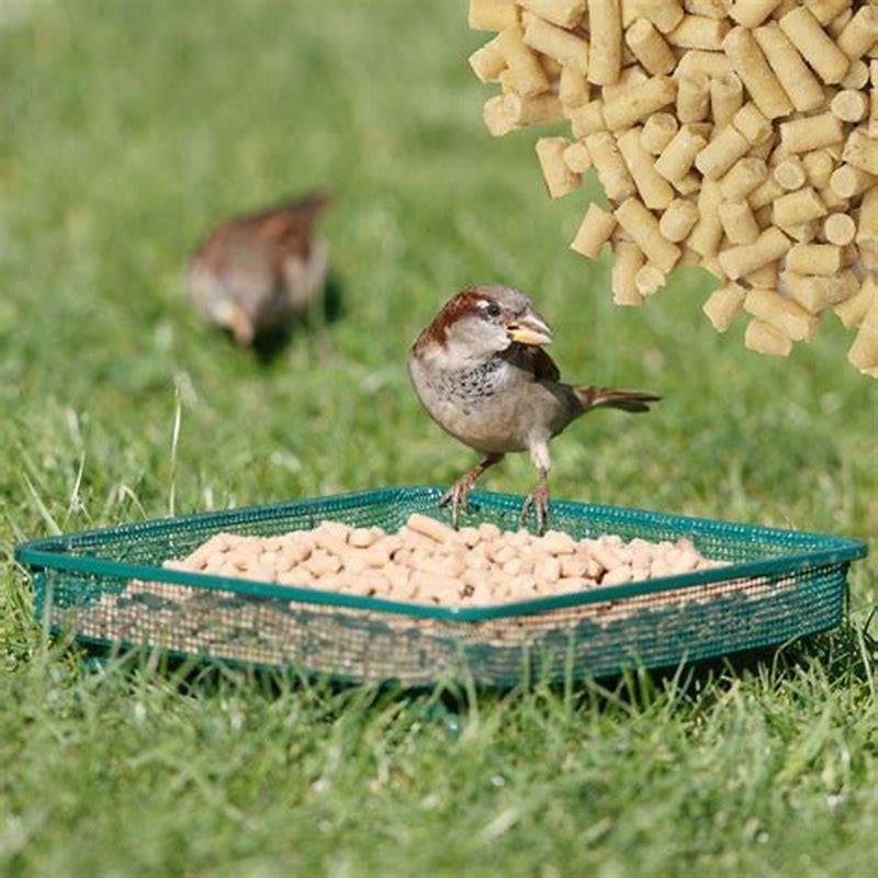 Is a chaffinch a ground feeder?