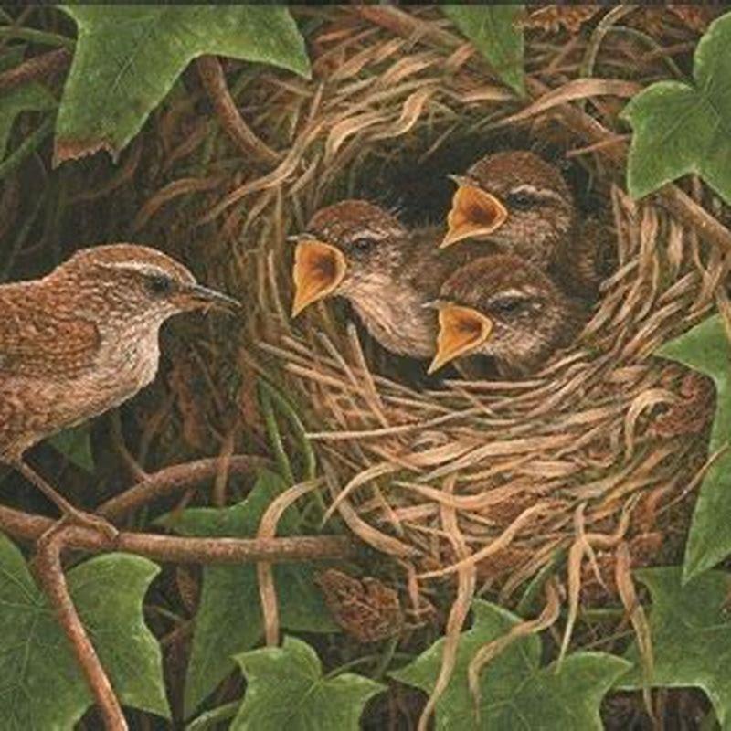 Is it hard to raise baby birds?