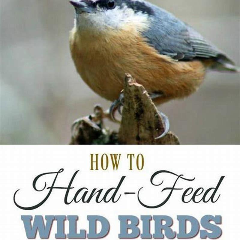 Is it legal to cage wild birds?
